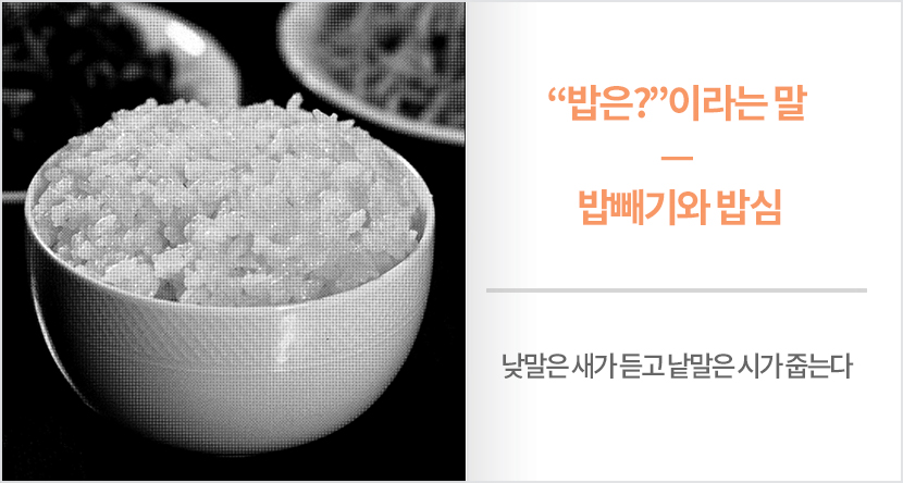 “밥은?”이라는 말－밥빼기와 밥심