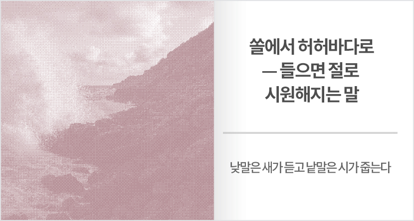 쏠에서 허허바다로
