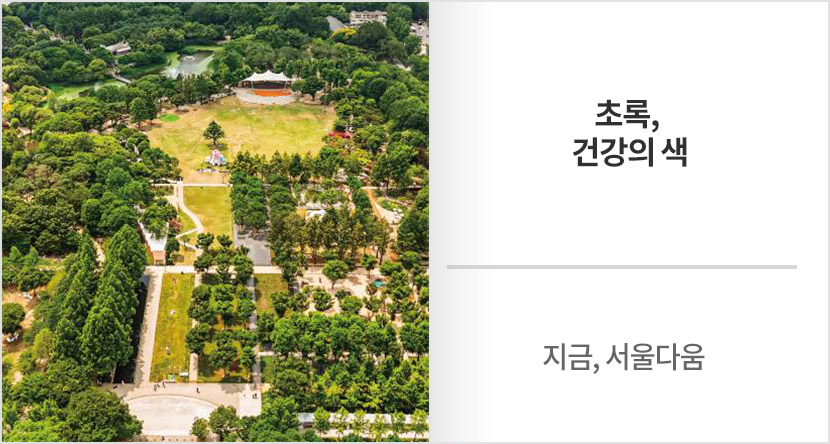 지금, 서울다움 : 초록, 건강의 색